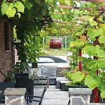 Weingut Schumacher - Mit Privatem Saunabereich 公寓 圣阿尔德贡德