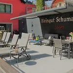 公寓 Weingut Schumacher - Mit Privatem Saunabereich 圣阿尔德贡德