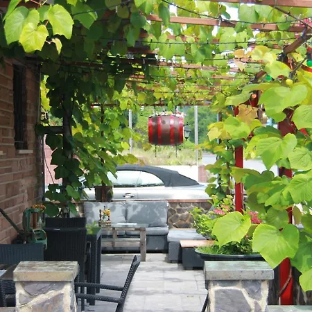 Weingut Schumacher - Mit Privatem Saunabereich Apartment Sankt Aldegund