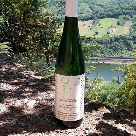 Weingut Schumacher - Mit Privatem Saunabereich דירה