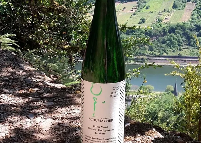 Weingut Schumacher - Mit Privatem Saunabereich Lejlighed