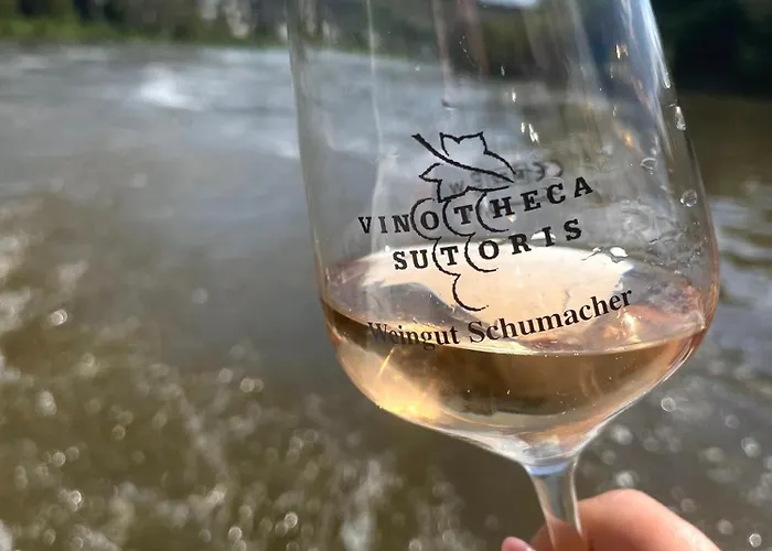 Weingut Schumacher - Mit Privatem Saunabereich Lejlighed