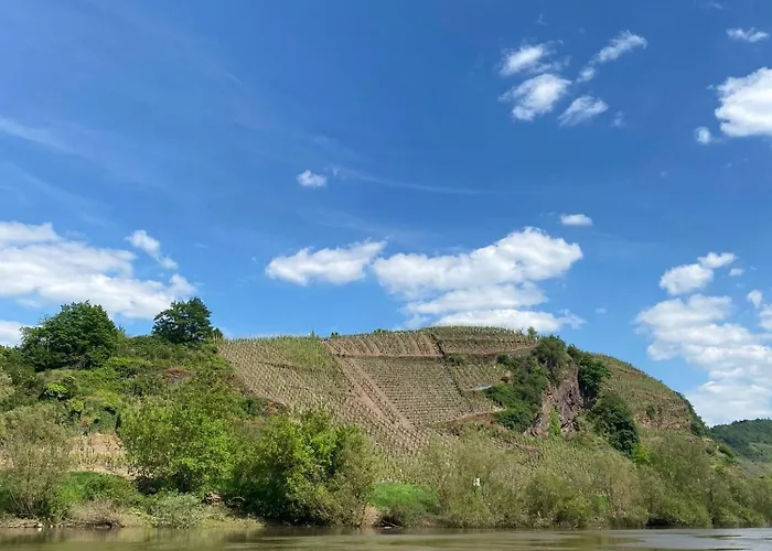 Weingut Schumacher - Mit Privatem Saunabereich Lejlighed *