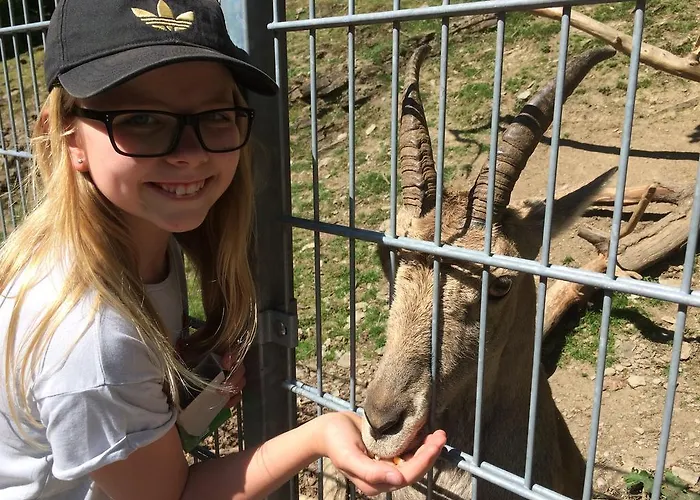 Weingut Schumacher - Mit Privatem Saunabereich Apartamento Sankt Aldegund